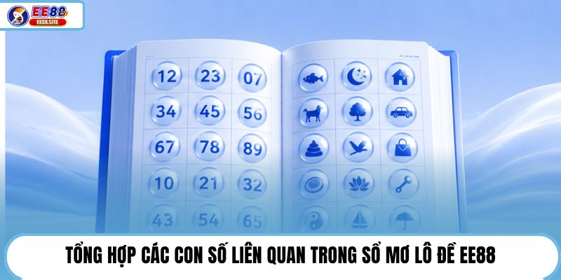 Tổng hợp các con số liên quan trong sổ mơ lô đề EE88